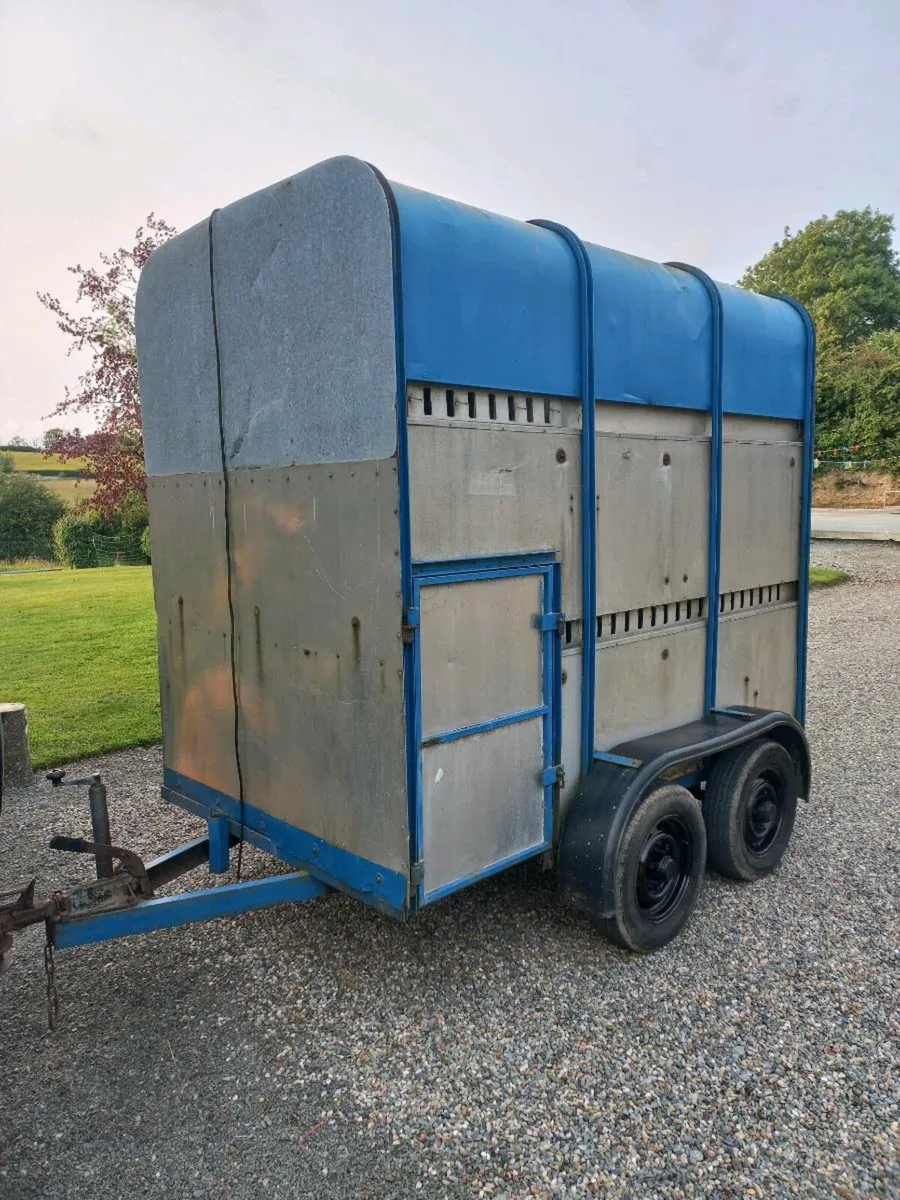 High Roof Ifor Williams 8 x 4 Horse / Cattle Box - Image 2