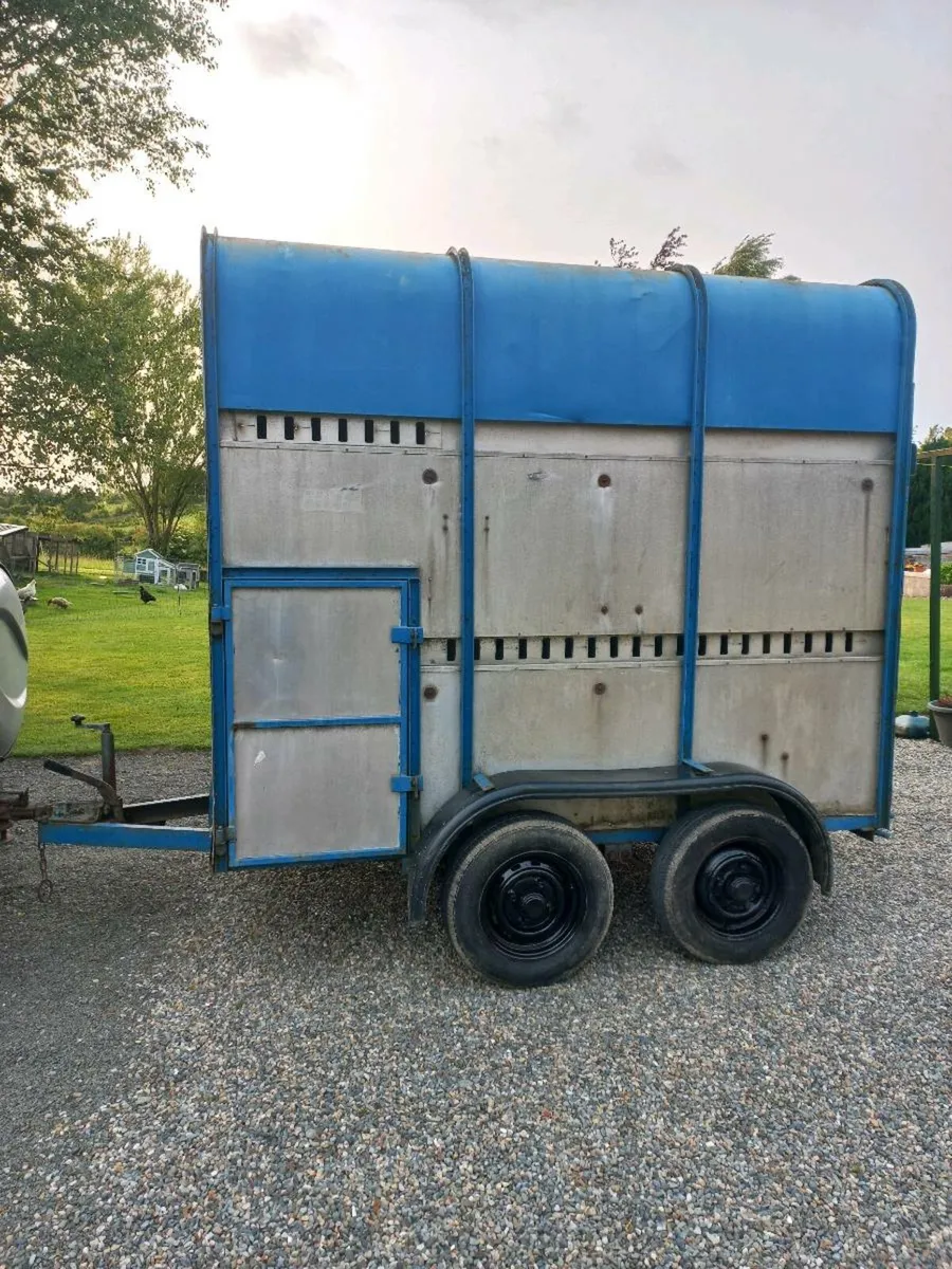 High Roof Ifor Williams 8 x 4 Horse / Cattle Box - Image 4