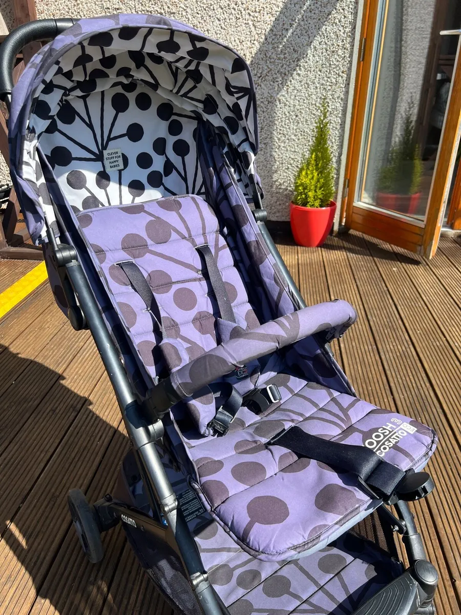 Buggy - Image 3