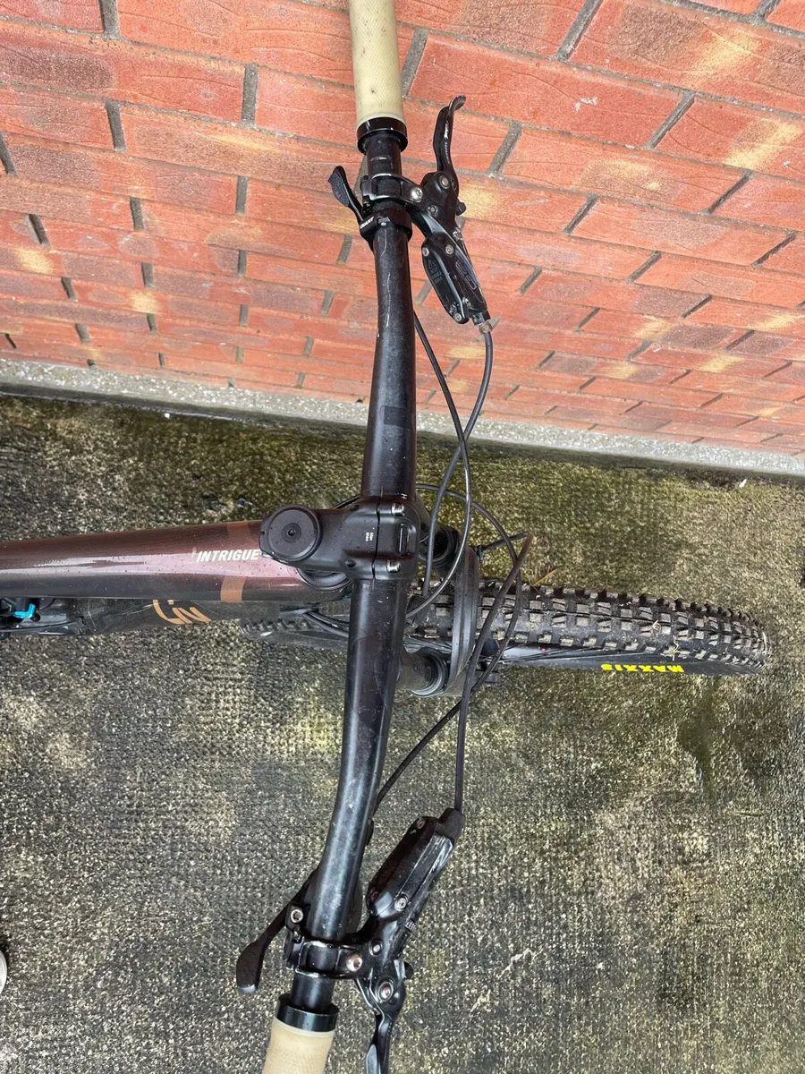LIV mountain bike - Image 3