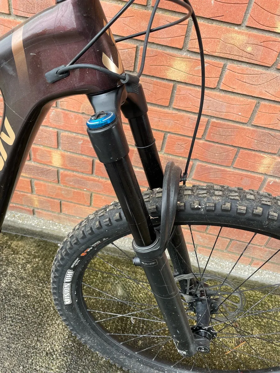LIV mountain bike - Image 4