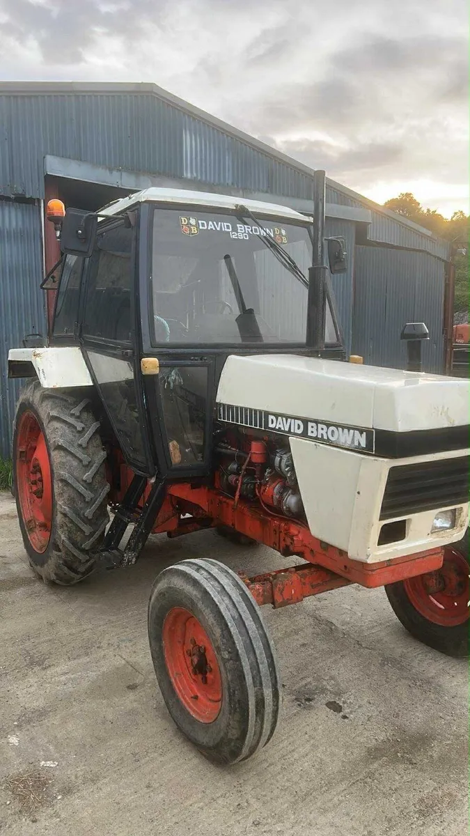 1290 David brown - Image 2