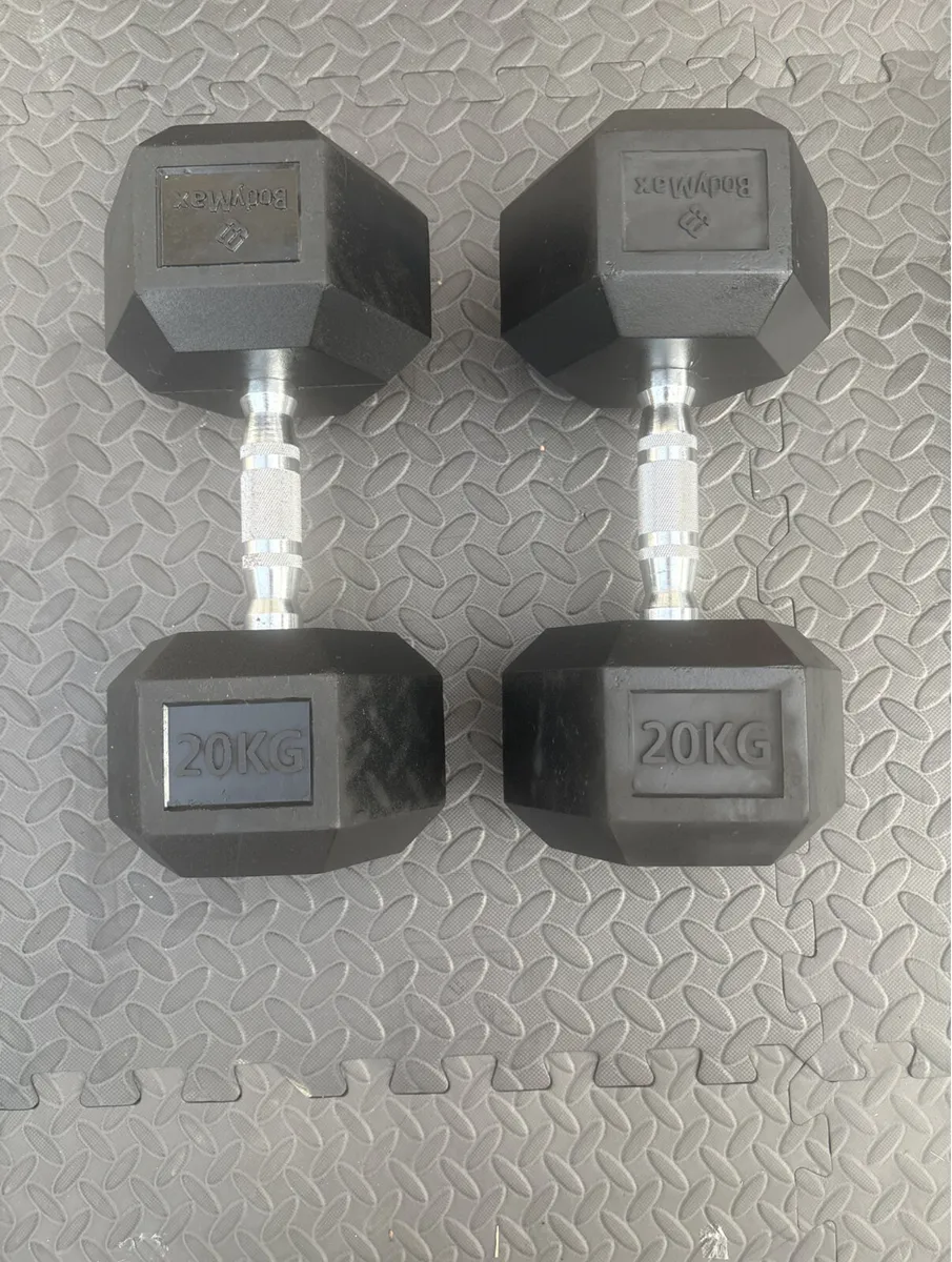 20kg weights - Image 1