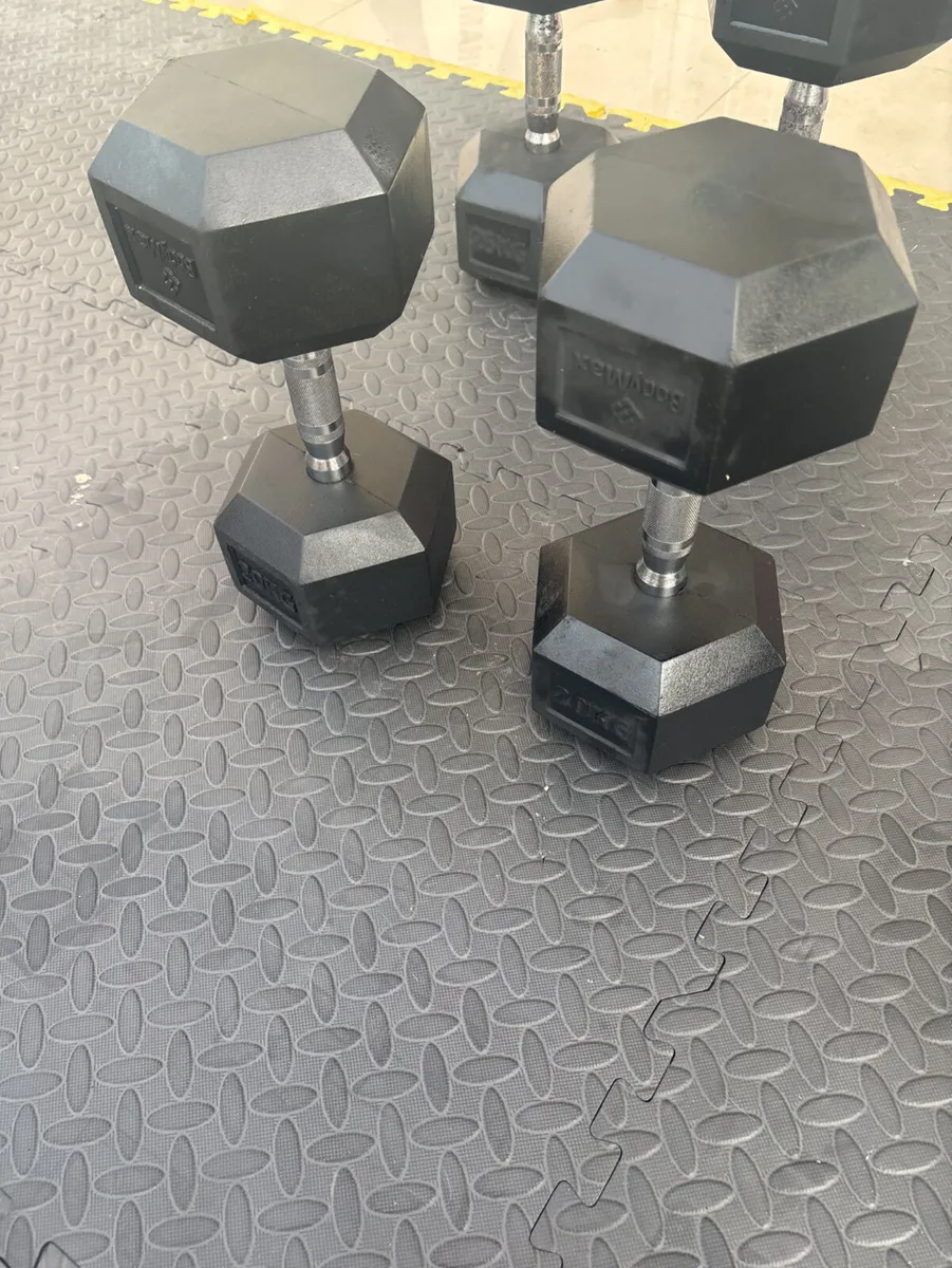 20kg weights - Image 2