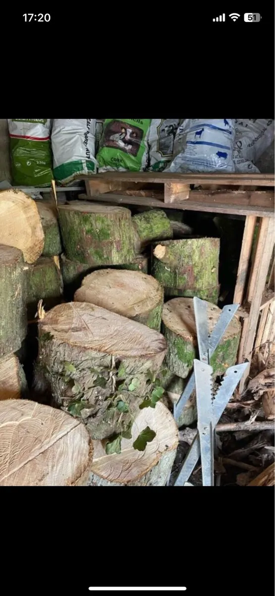 Firewood softwood rings - Image 1
