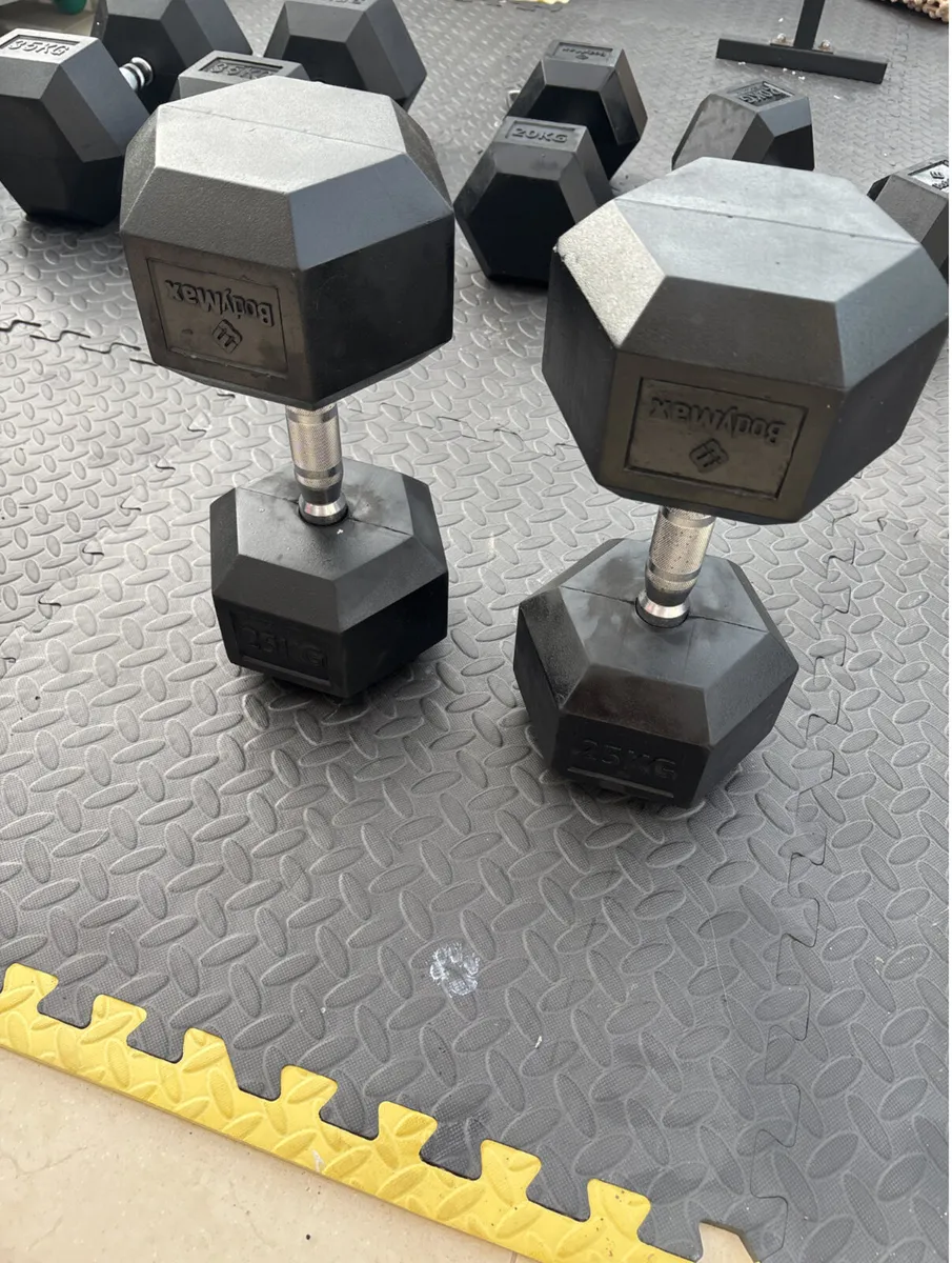 25kg weights - Image 2