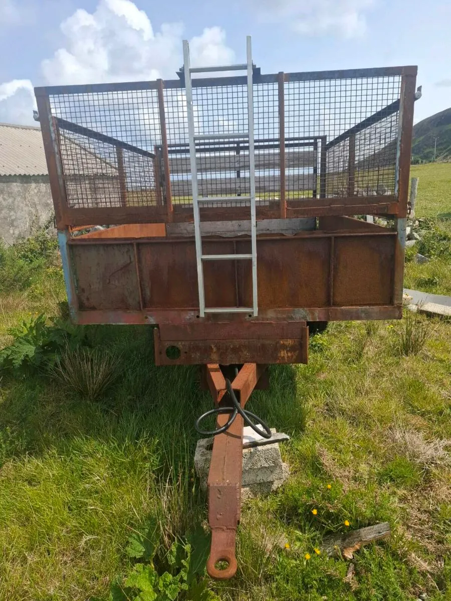 9x6 turf trailer - Image 4
