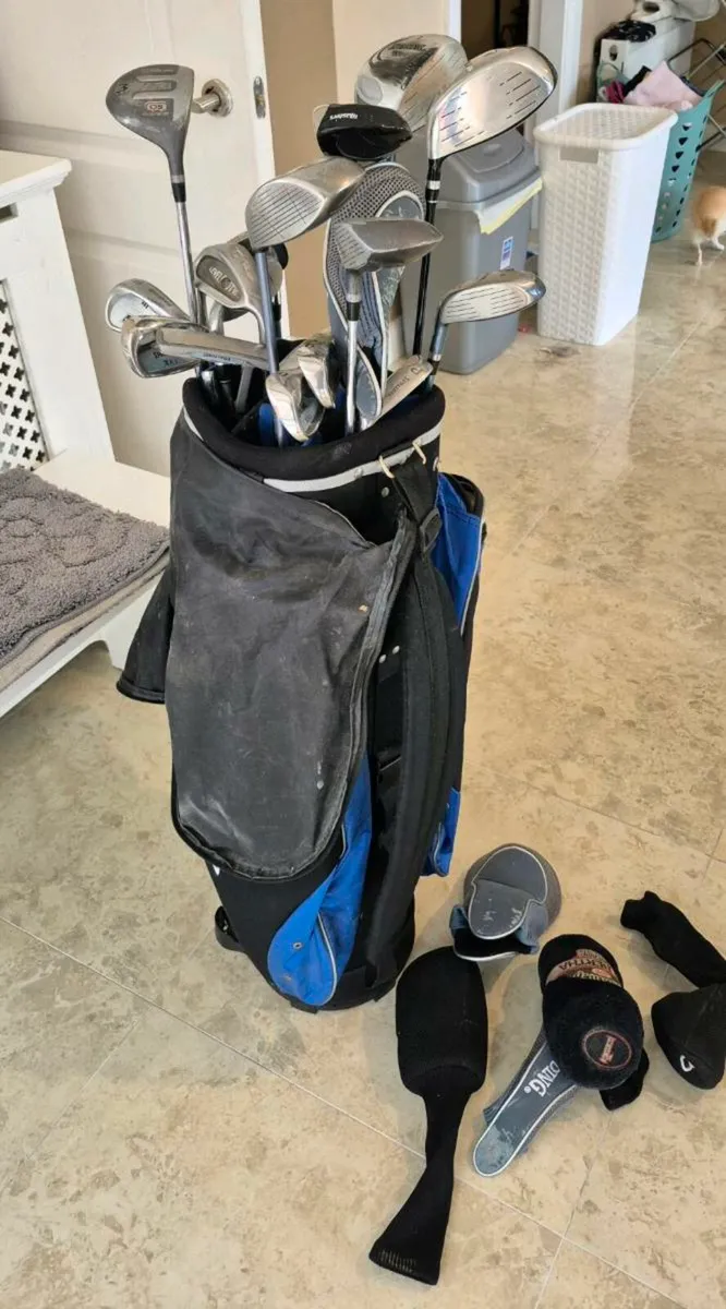 golf bag and golf clubs in good condition - Image 1