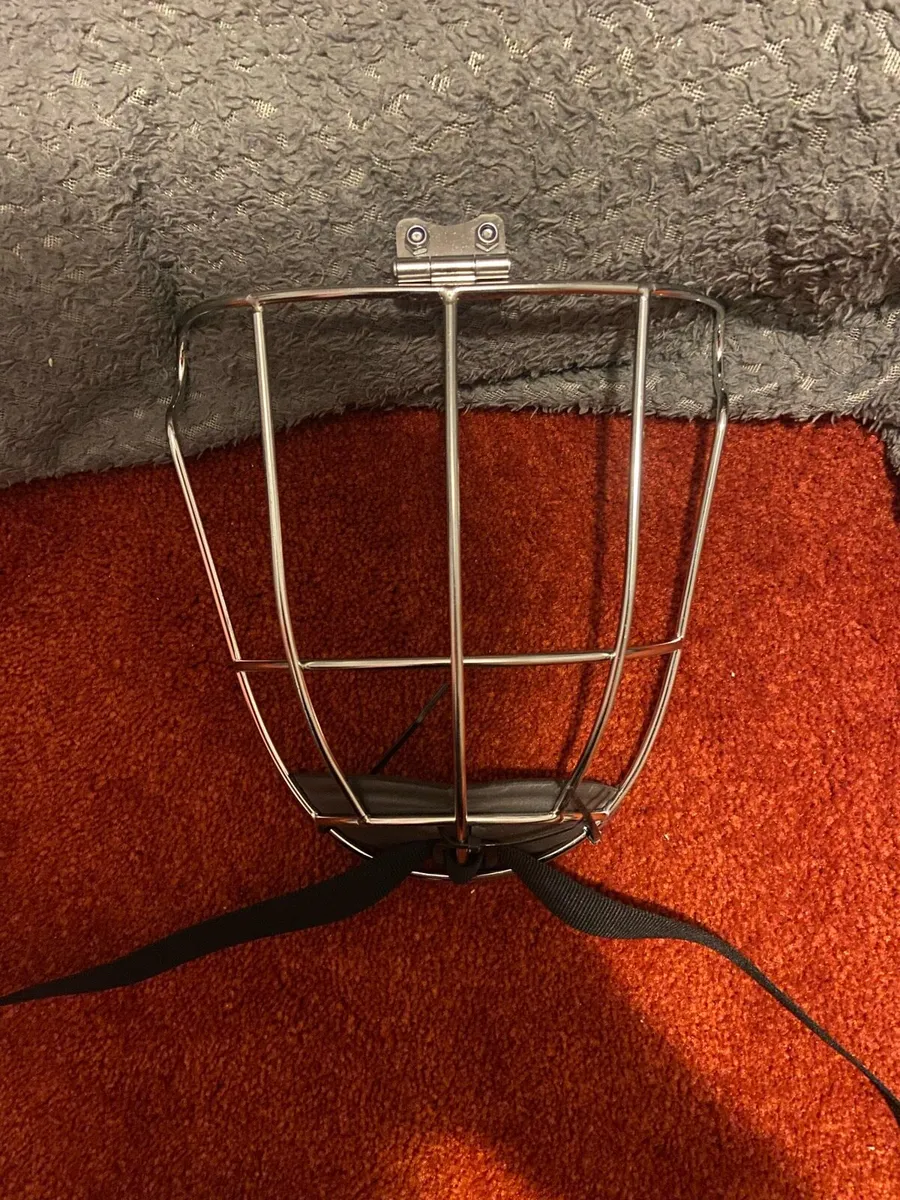 Hurling Helmet Butterfly Kilkenny Faceguards - Image 1