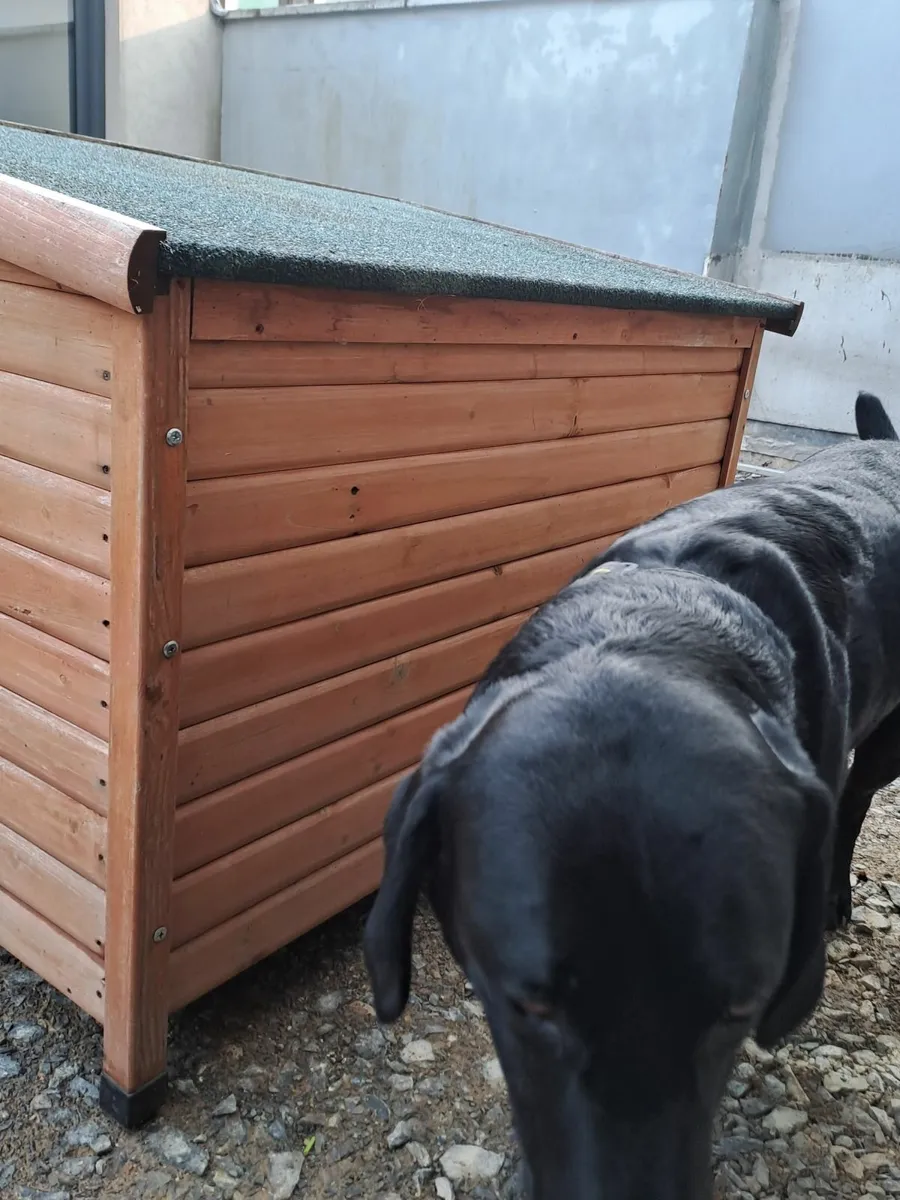 Dog kennel - Image 2