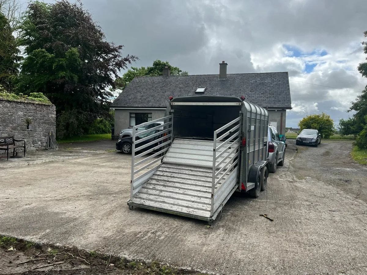 Ifor Williams 6 x 10 Trailer with decks - Image 1