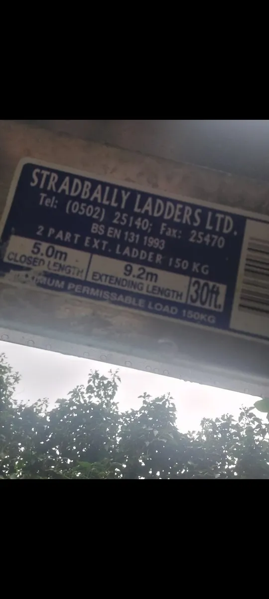 30ft double Stradbally extension ladder - Image 2