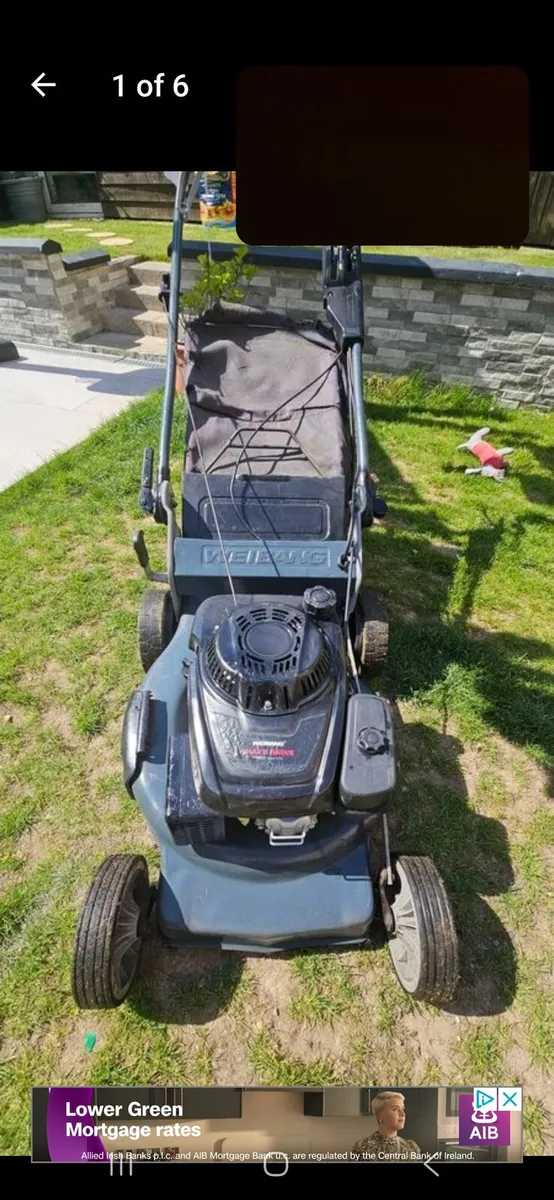 weibang professional  lawnmower - Image 3