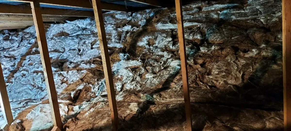 Full Attic insulation Seai grant available - Image 3