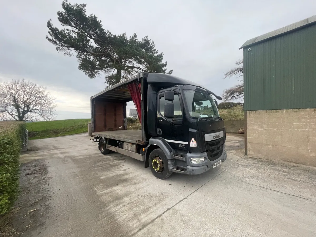 2016 DAF LF 260 15 ton - Image 1