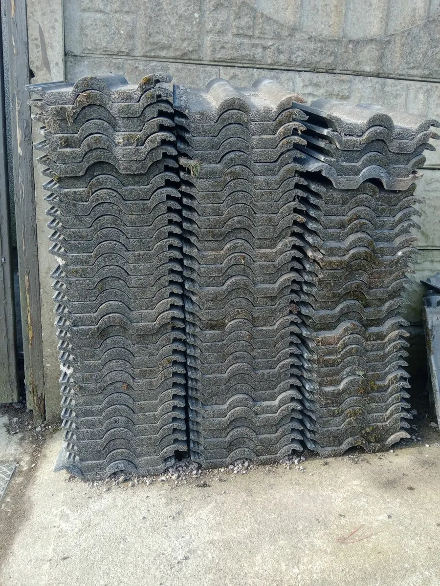 90 roof tiles only 60 euro - Image 2
