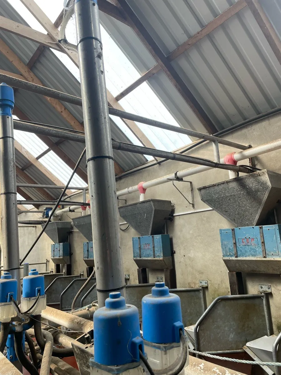 Wanted. 2 Dairymaster swing over units - Image 3