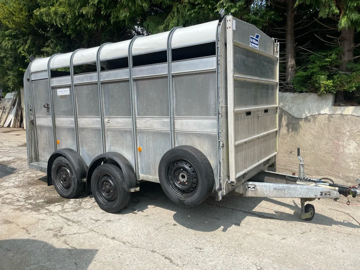 Ifor Williams livestock trailer - Image 1