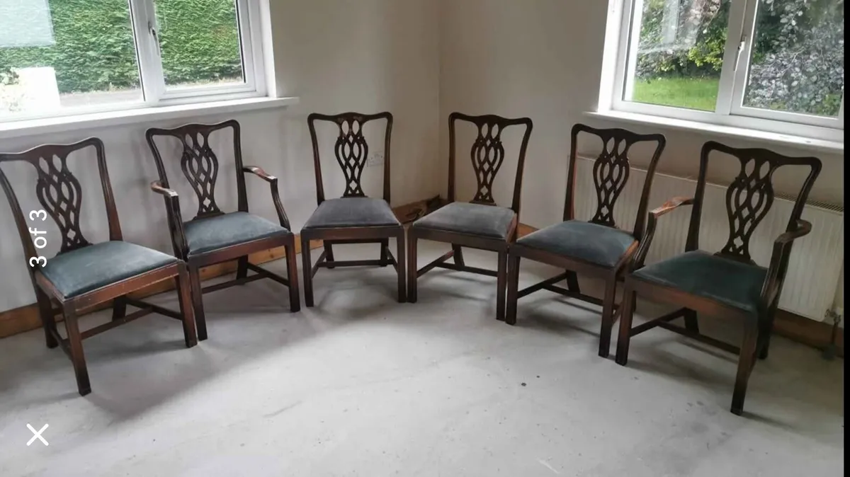 Kitchen chairs - Image 1