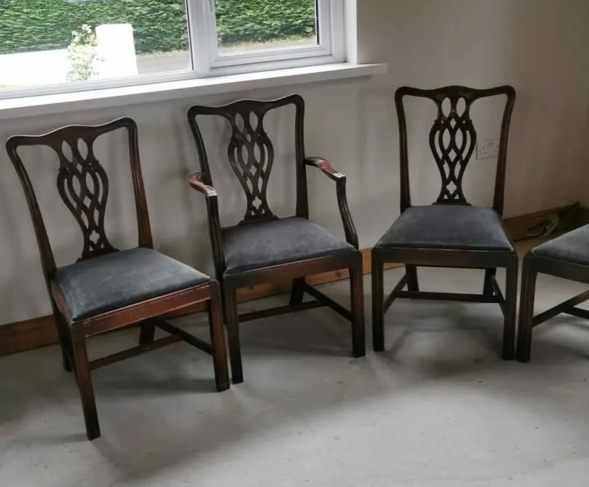 Kitchen chairs - Image 3