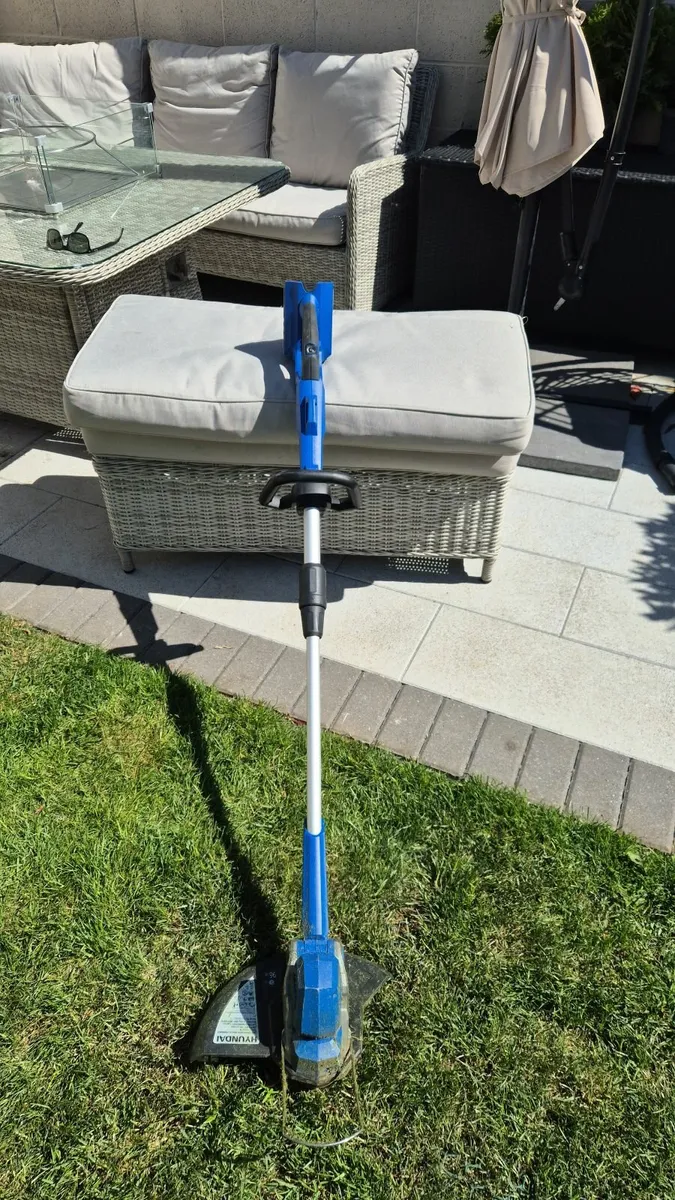 Battery Strimmer 2 year old