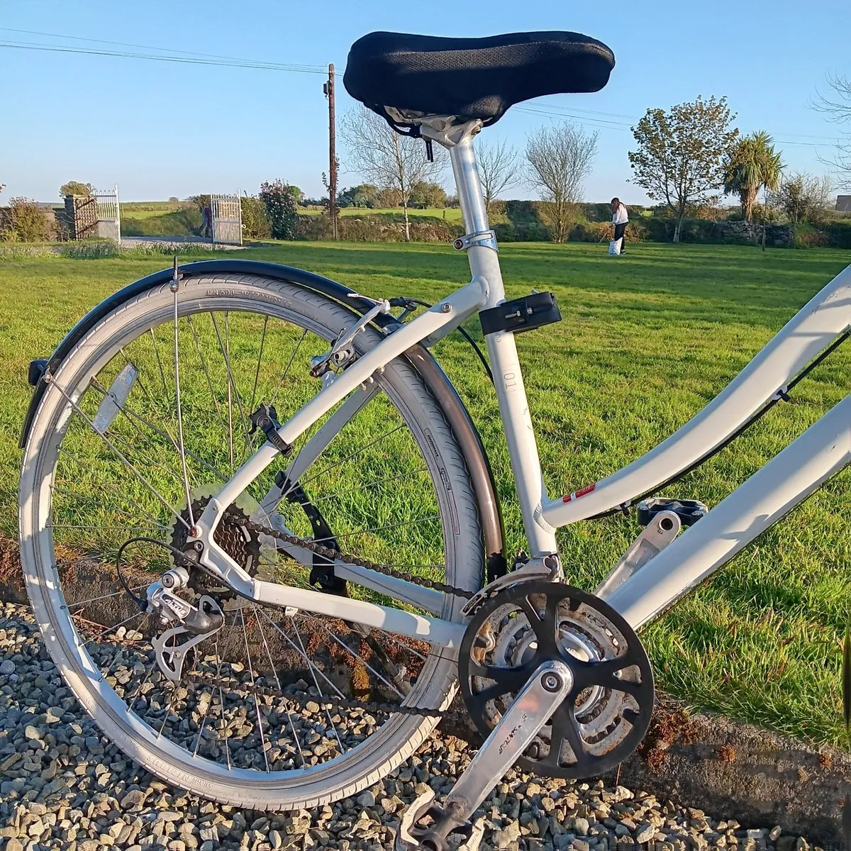 Ladies Specialized Bicycle - Image 2