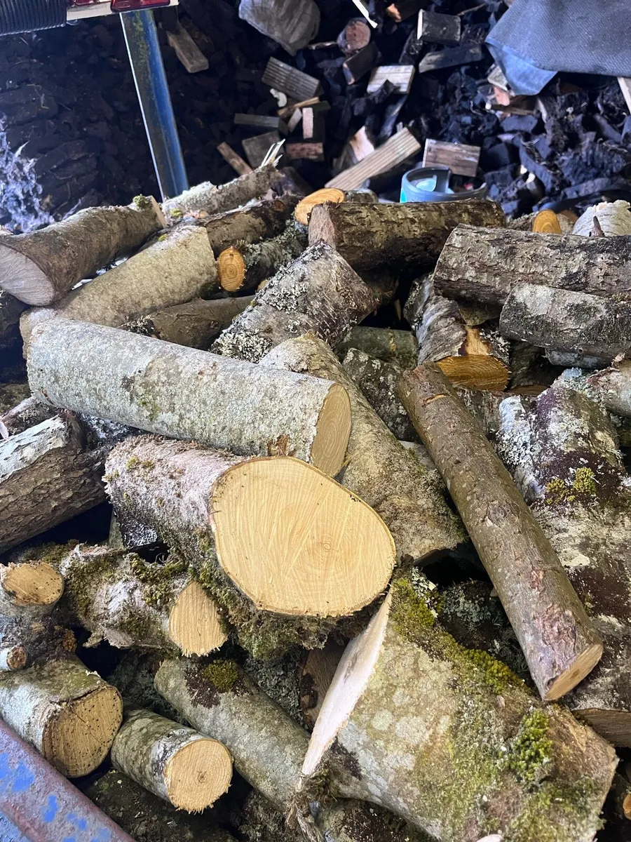 Fire wood - Image 4