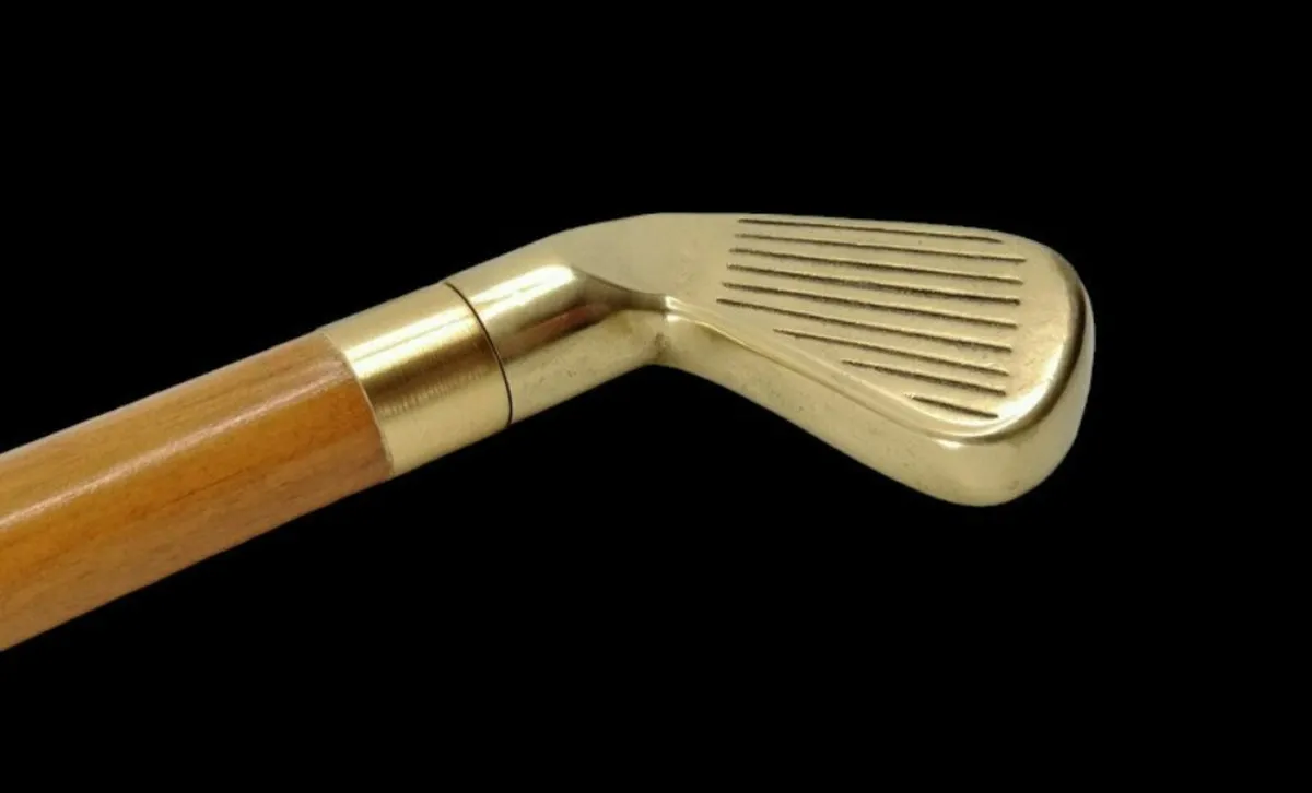 Vintage Walking/Drinking Stick - Image 1