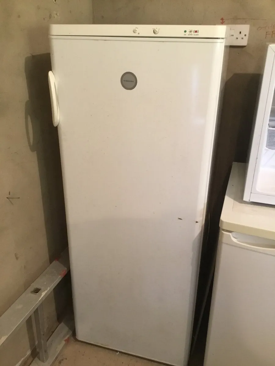 Freezer and small fridge - Image 4