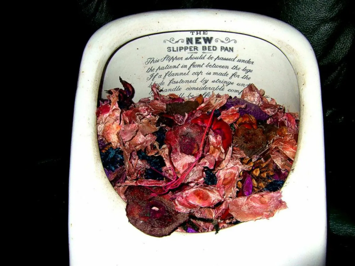Authentic Vintage "The New Slipper Bed Pan" - Image 4