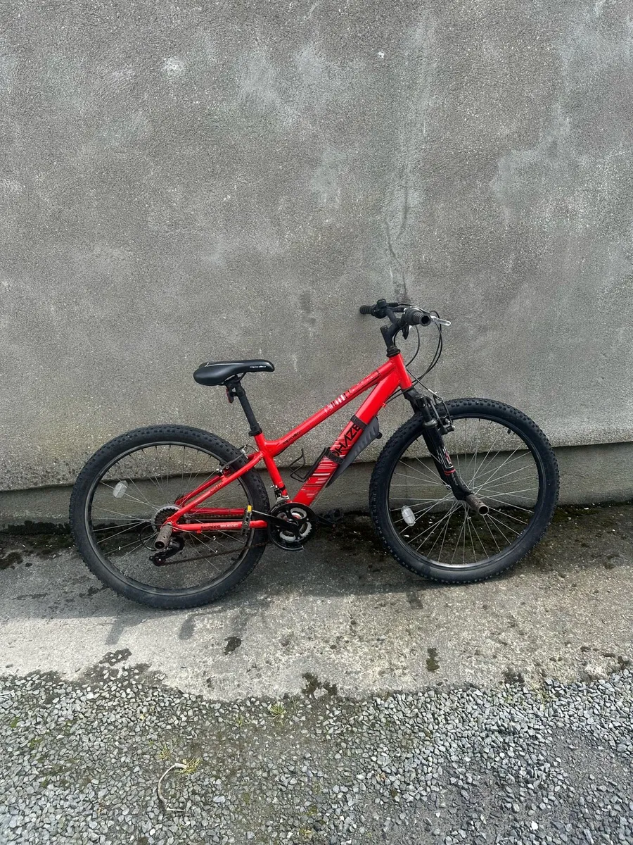 Mountain bike - Image 1