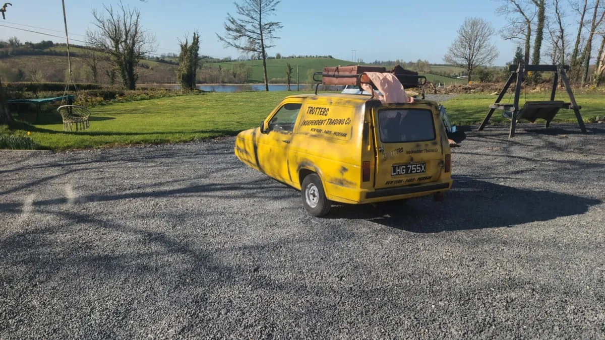 Robin reliant - Image 1
