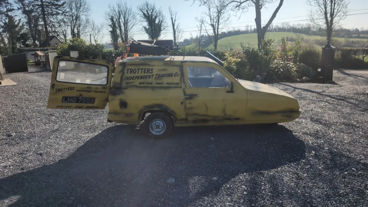 Robin reliant - Image 2
