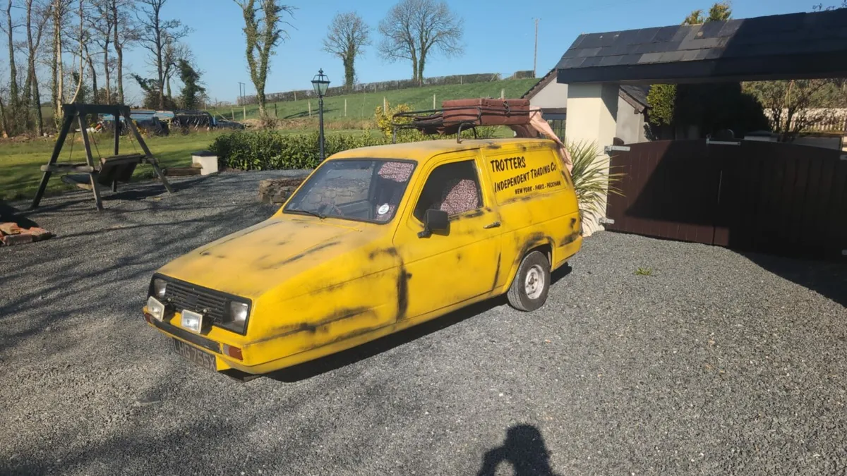 Robin reliant - Image 4