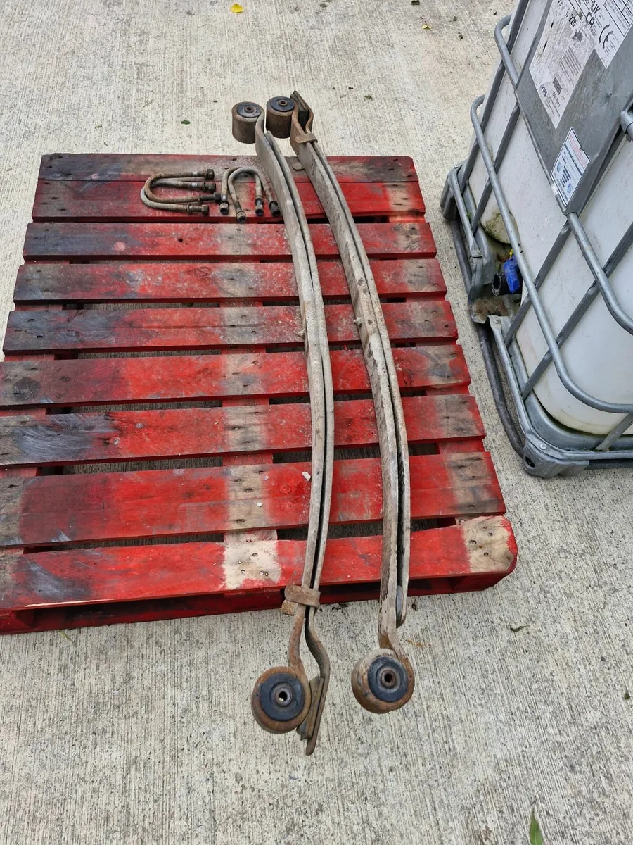 Heavy duty  springs - Image 1