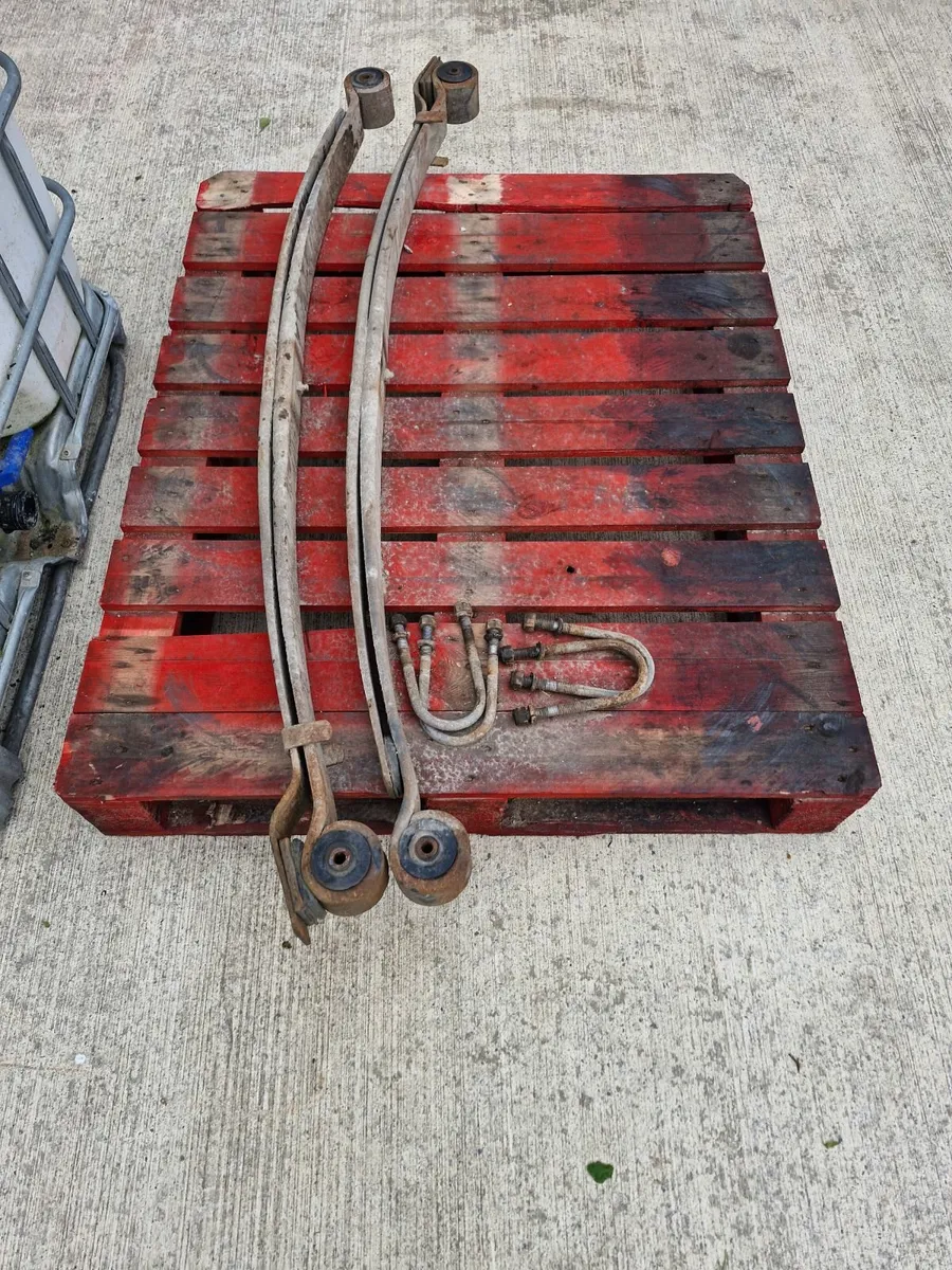 Heavy duty  springs - Image 2