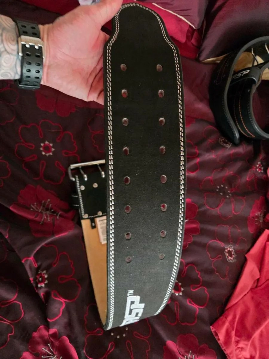 Gasp lifting belt - Image 3