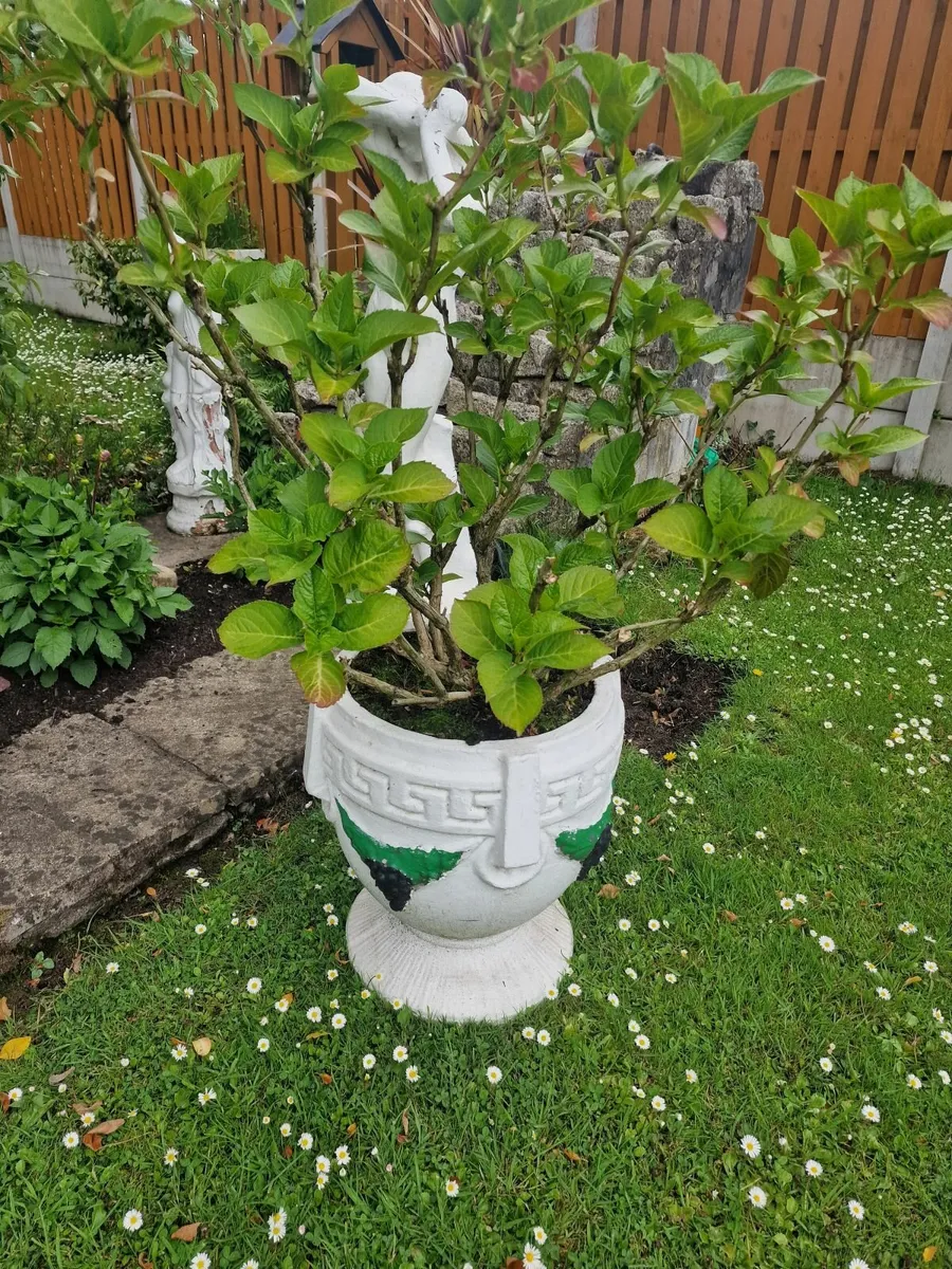 Joblot of Garden Statues and Planters - Image 4