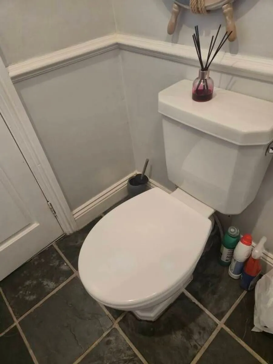 Bathroom sink & toilet - Image 3