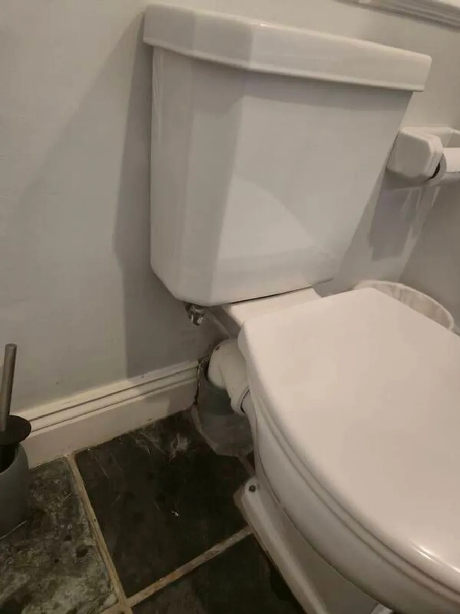 Bathroom sink & toilet - Image 4