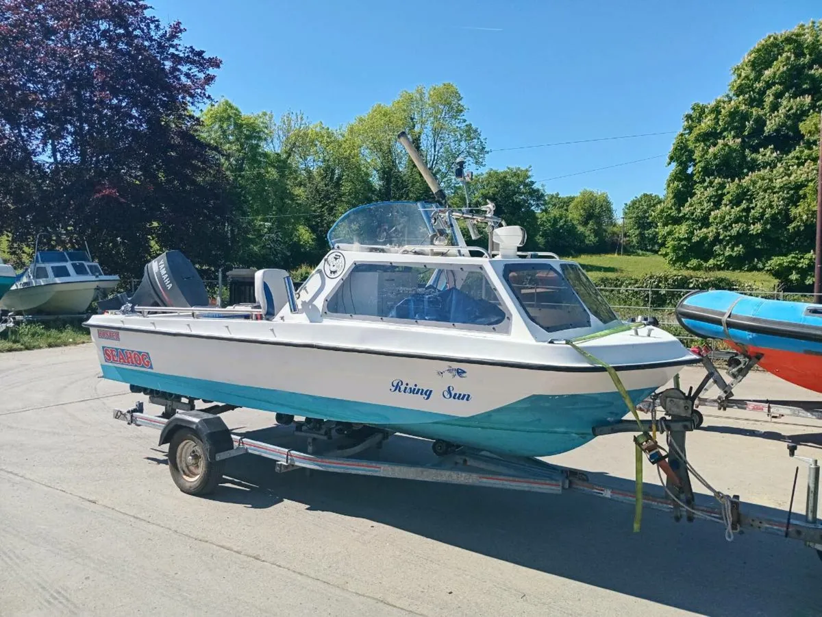 Alaska Hardy Seahog 17ft sea nymph orkney 440 - Image 1