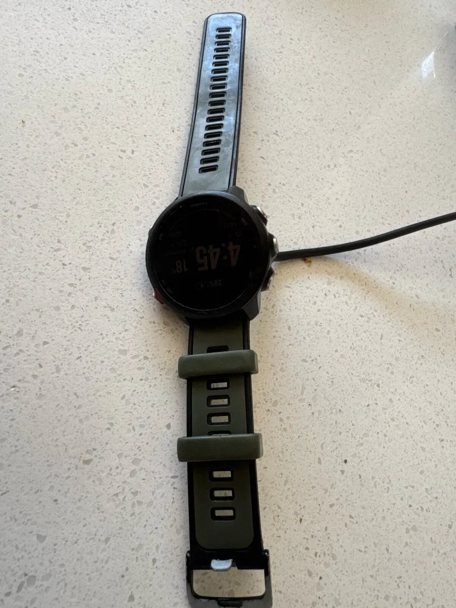 Garmin Forerunner 245 Music - Image 3