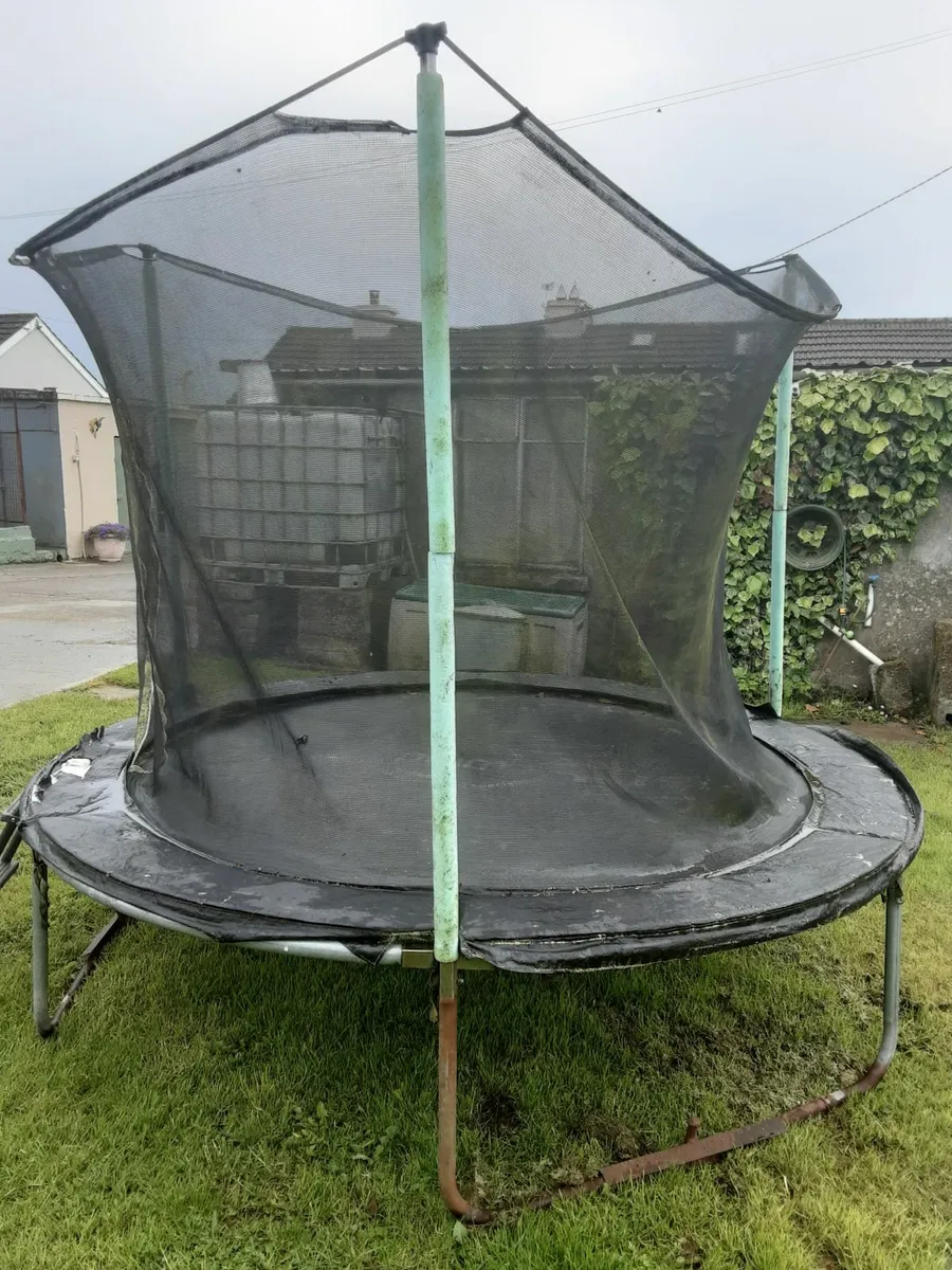 Trampoline - Image 2
