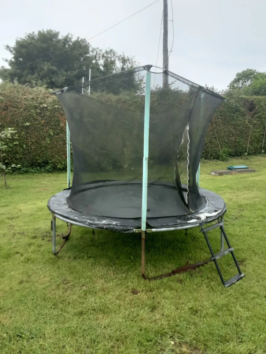 Trampoline - Image 3