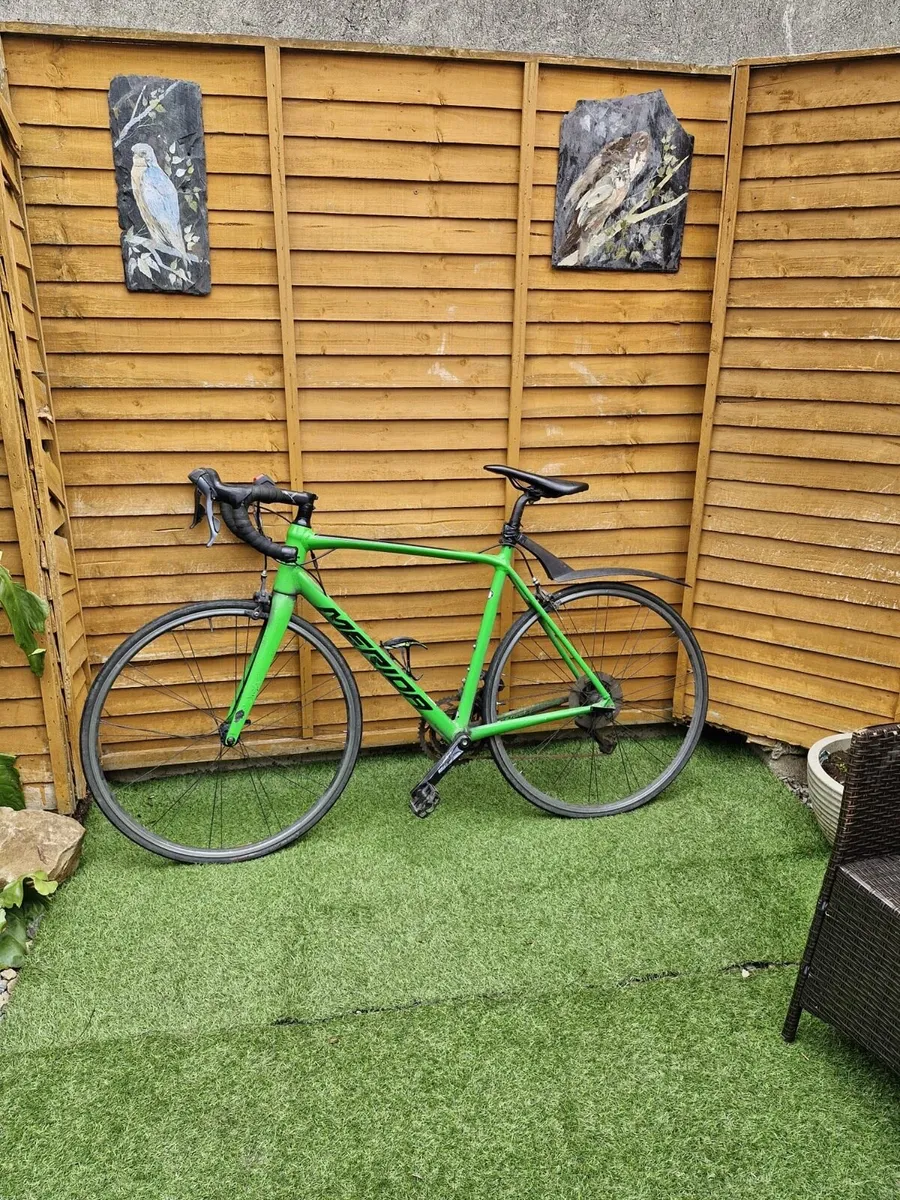Bicycle - Image 2