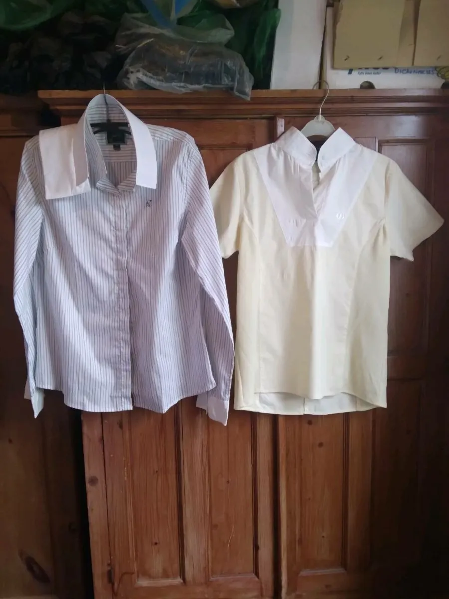 Ladies Show / Competition Shirts & Jodphurs. New - Image 1