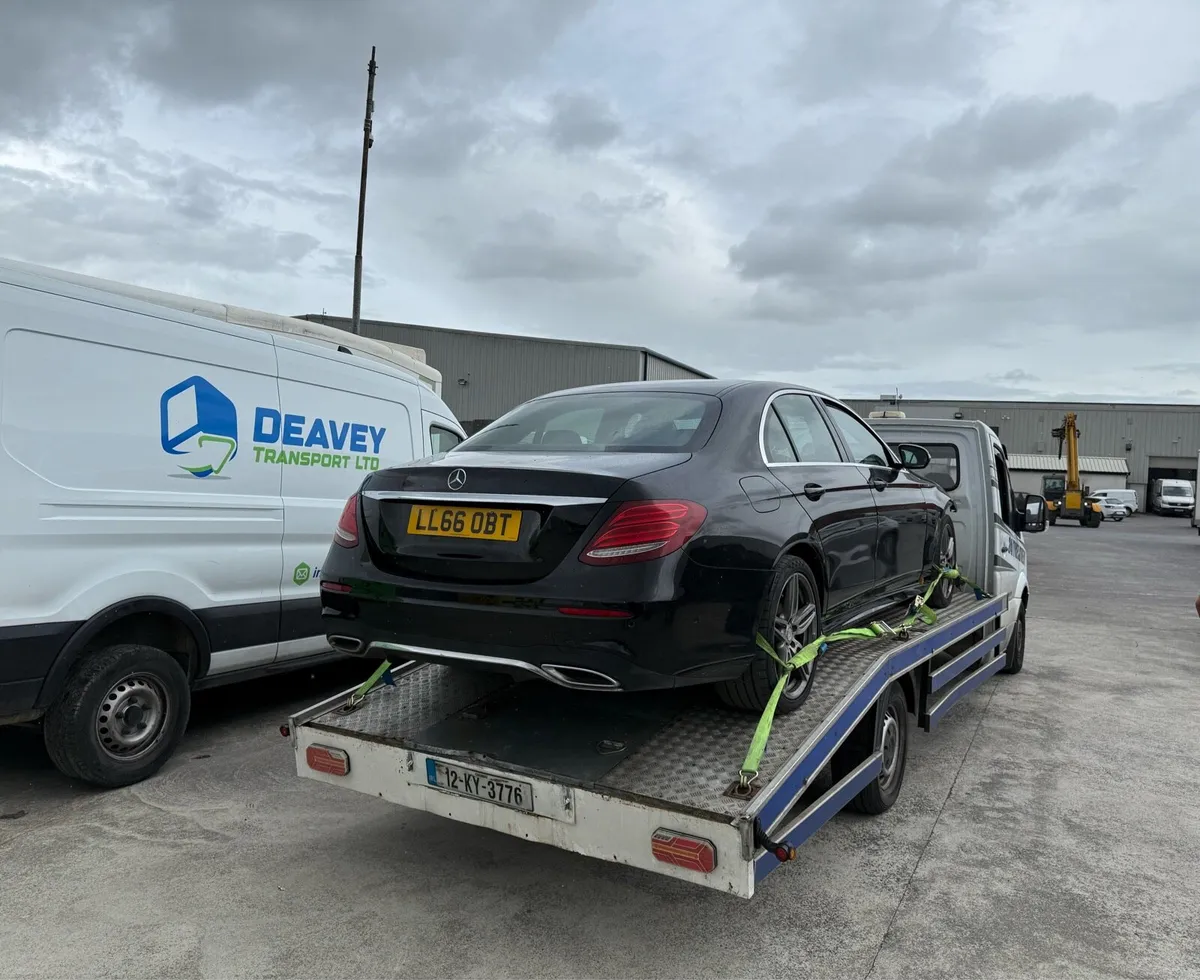 MERCEDES E 220 AMG