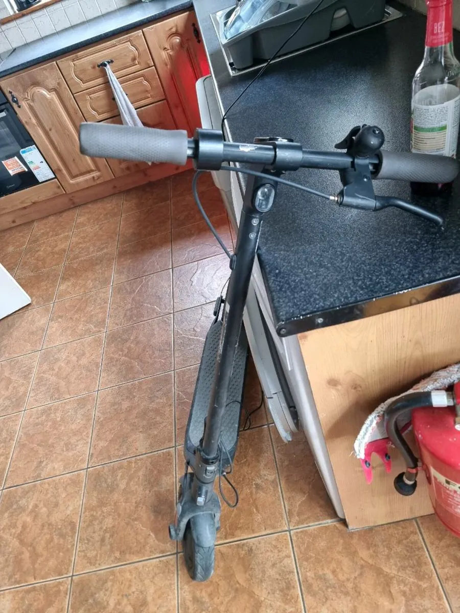 Ninebot Kickscooter FII - Image 1
