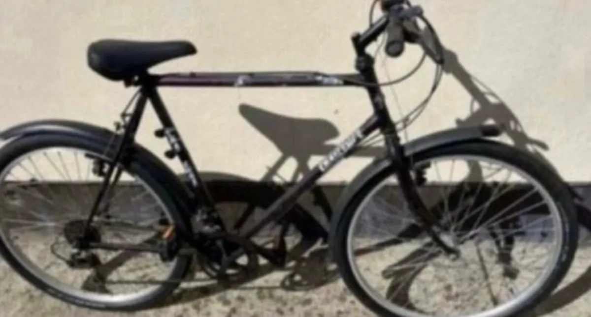 Mountain bike