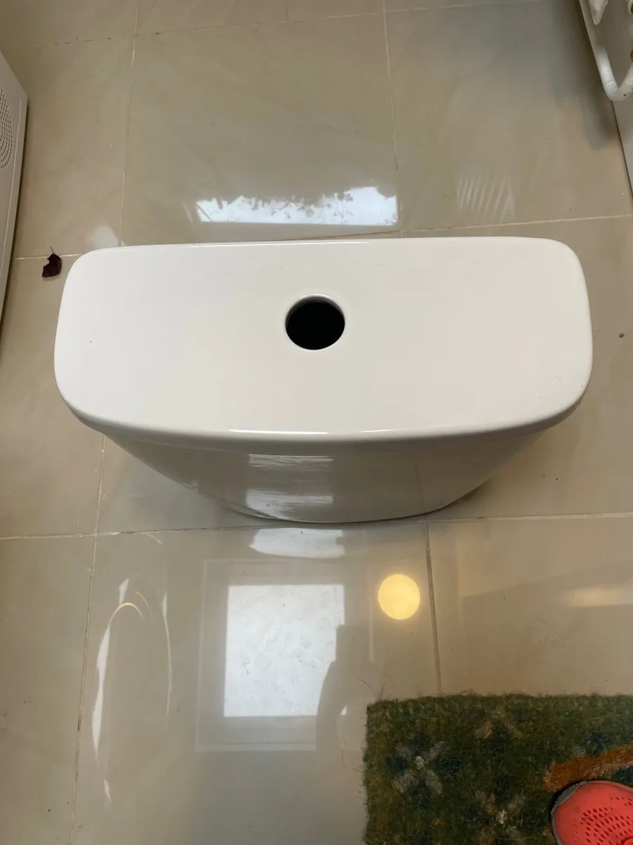 New Toilet Cistern - Image 1